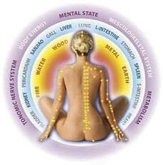EMAS 經絡分析圈 - 五行經絡能量分析